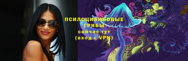 крисы Арсеньев