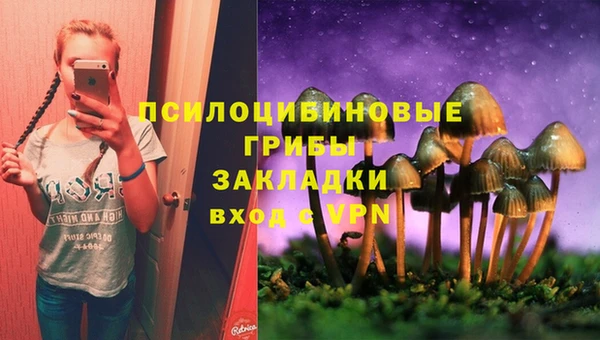 прущий лед Аркадак