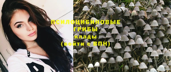 крисы Арсеньев