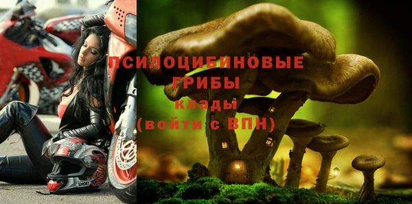 прущий лед Аркадак