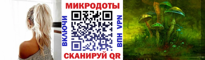 MEGA зеркало Оха Псилоцибиновые грибы мицелий